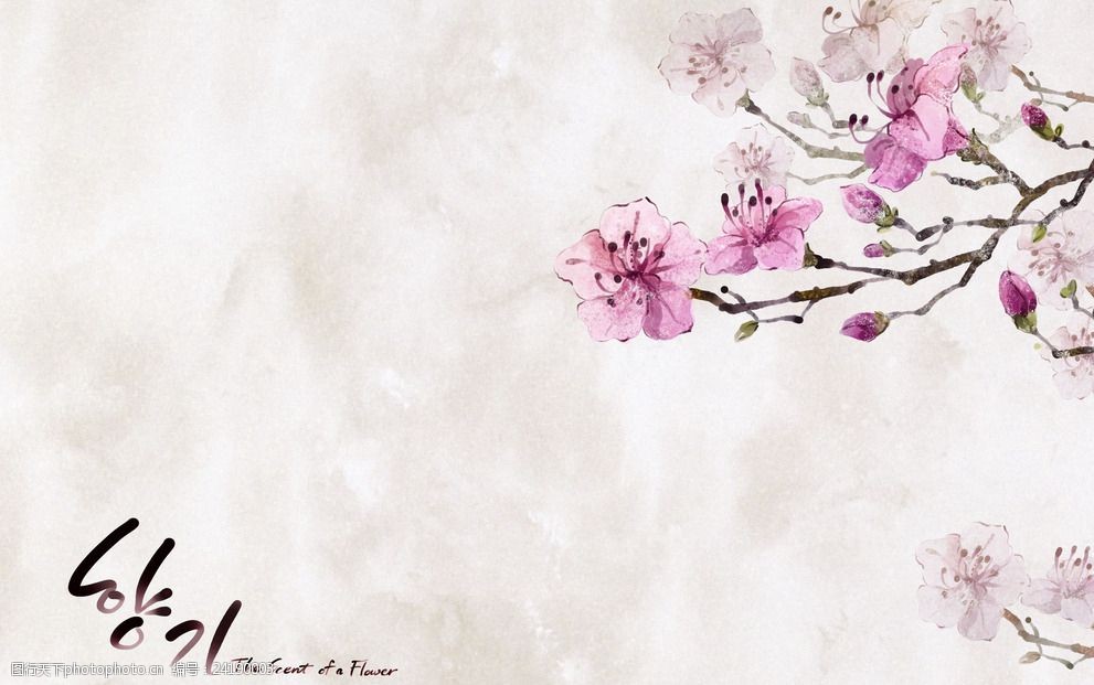 关键词:温馨简约花纹背景 温馨 花朵 简约 照片 背景 淡雅 设计 摄影