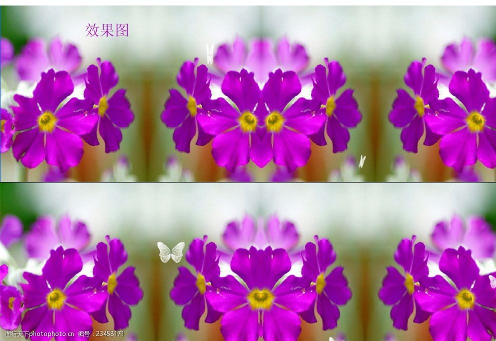 紫色花视频背景素材