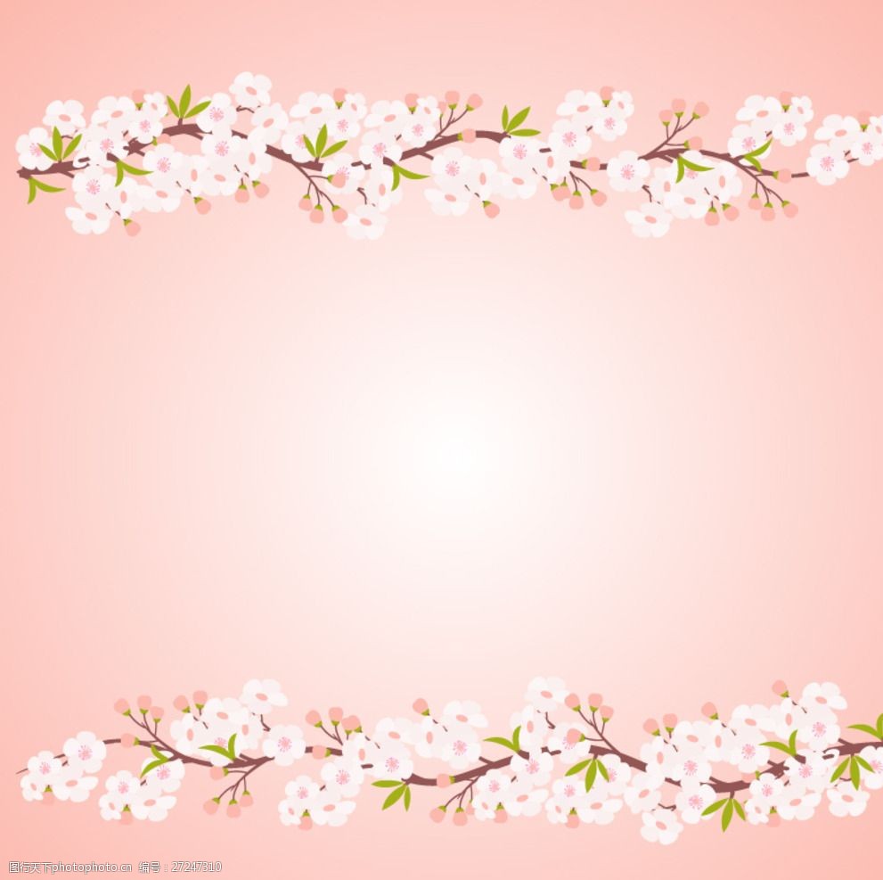 白色桃花花枝 白色 桃花 白桃花 白 春天 春色 对称 粉色 白花 背景