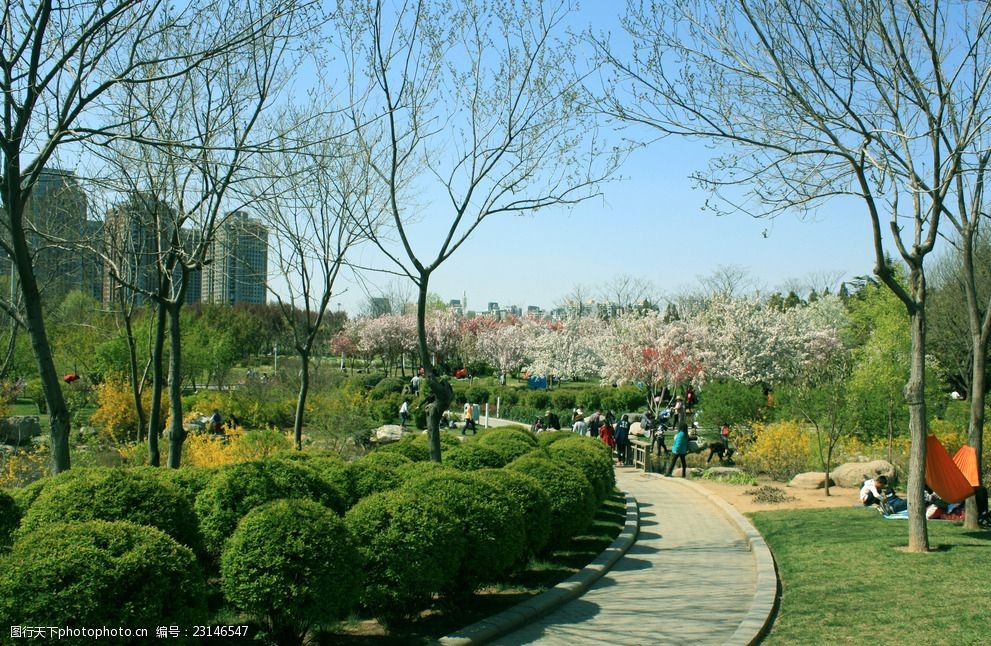 春暖花开风景树木