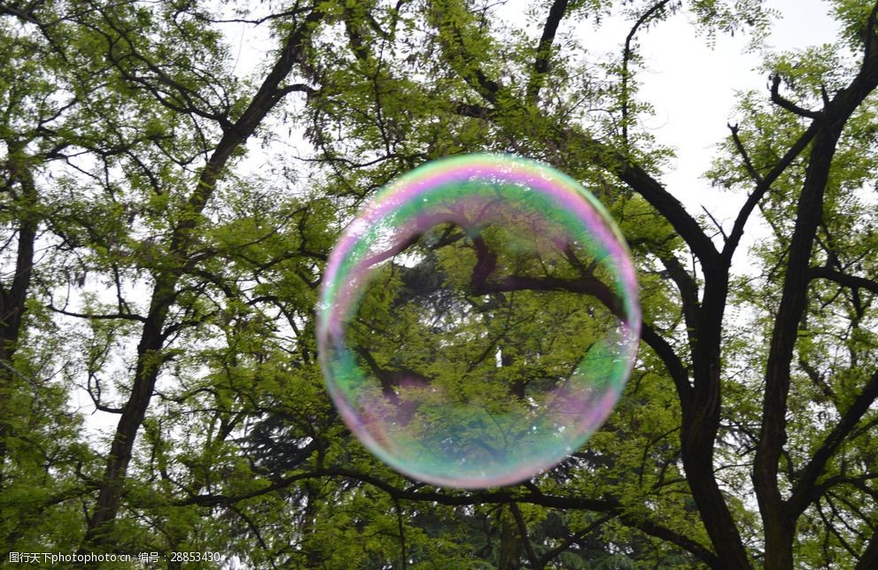 关键词:泡泡 肥皂泡 泡泡 肥皂泡 绿色 公园 树 彩色泡泡 摄影 摄影