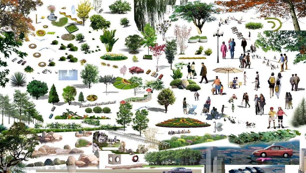 植物素材人石头景观