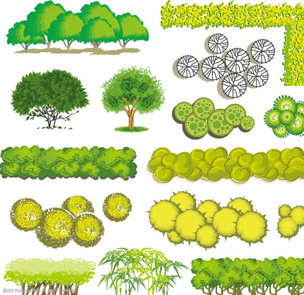 树木平面装饰