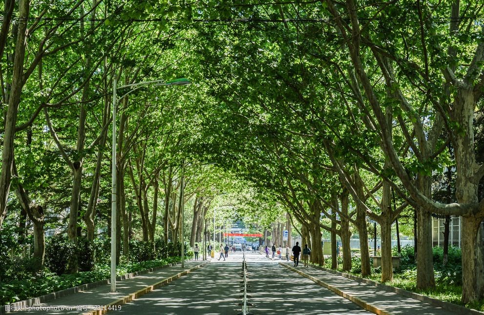 设计图库 自然景观 自然风景    上传: 2016-5-27 大小: 4.