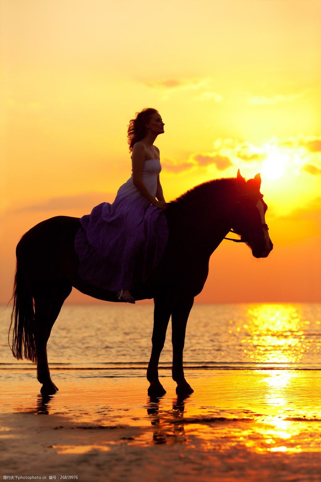 刘奕宁 海边 夕阳 马 骑马的美女壁纸|美女写真