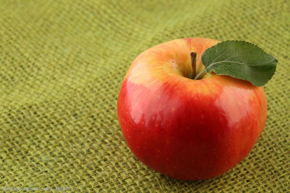 关键词:麻布上的苹果图片素材 红苹果 果实 果子 水果 新鲜水果 水果