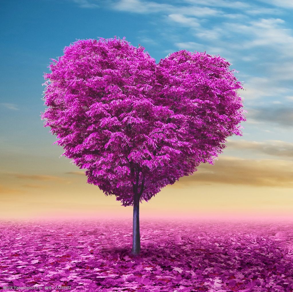 心型爱情树图片素材