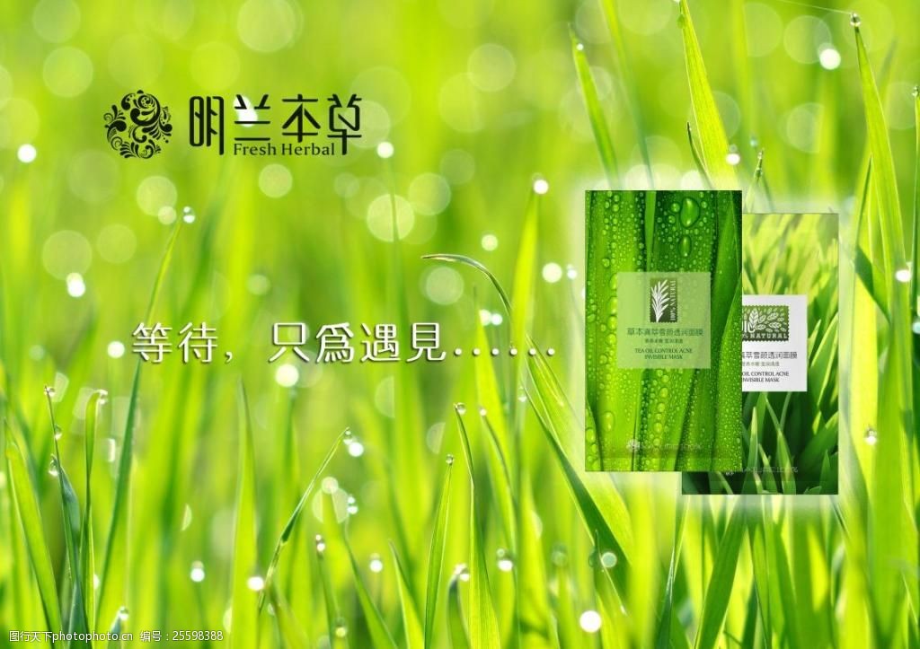 明兰本草面膜素材图