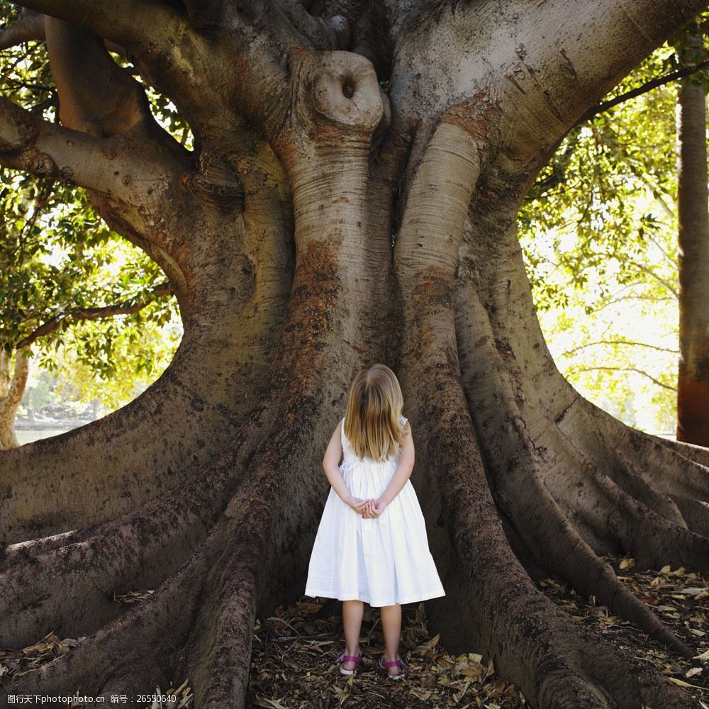 抬头看着大树的小女孩背影图片