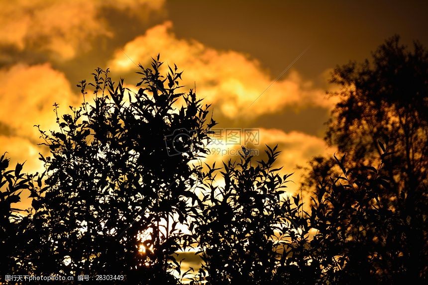 夕阳下的景色