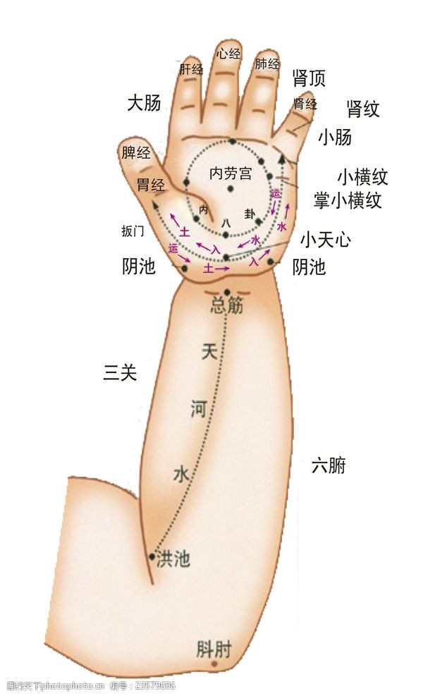 小儿推拿手掌穴位