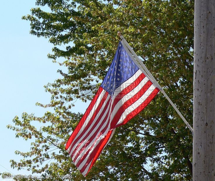 us_flag_on_telephone_pole.jpg