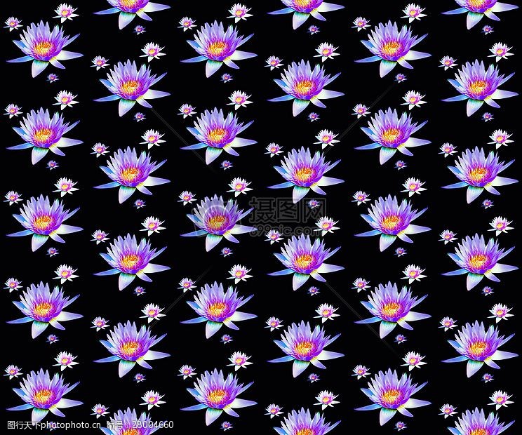 关键词:有紫色花朵的背景图 花朵 花瓣 黑色 粉色 紫色 白色 壁纸