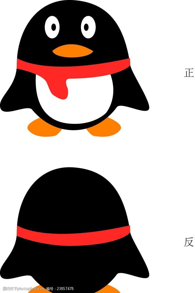 qq企鹅头像正反面 qq头像 企鹅 企鹅设计 qq表情 企鹅动画 卡通 动物