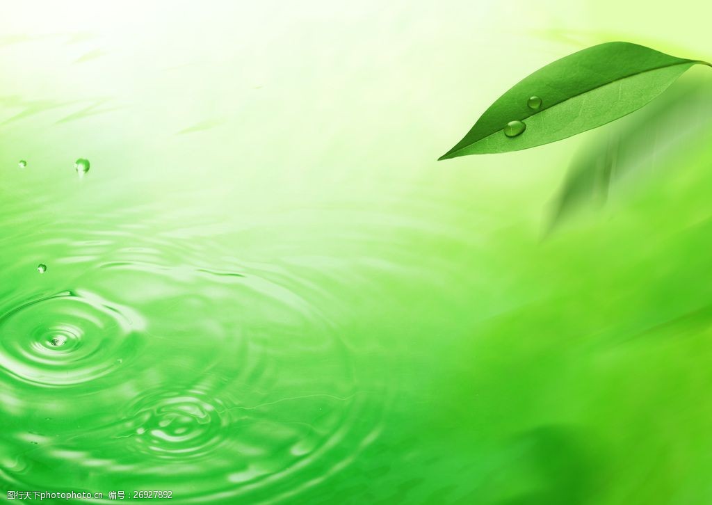 自然风景  关键词:蓝天绿叶与水滴高清图片下载绿色 底纹 背景 素材