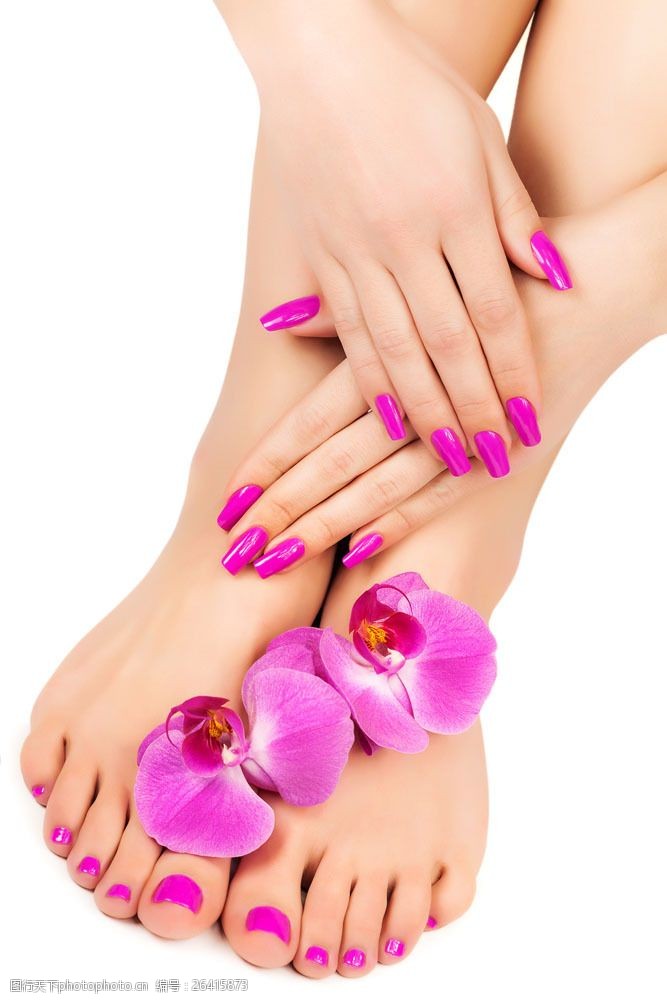 红色指甲的手脚和蝴蝶兰图片