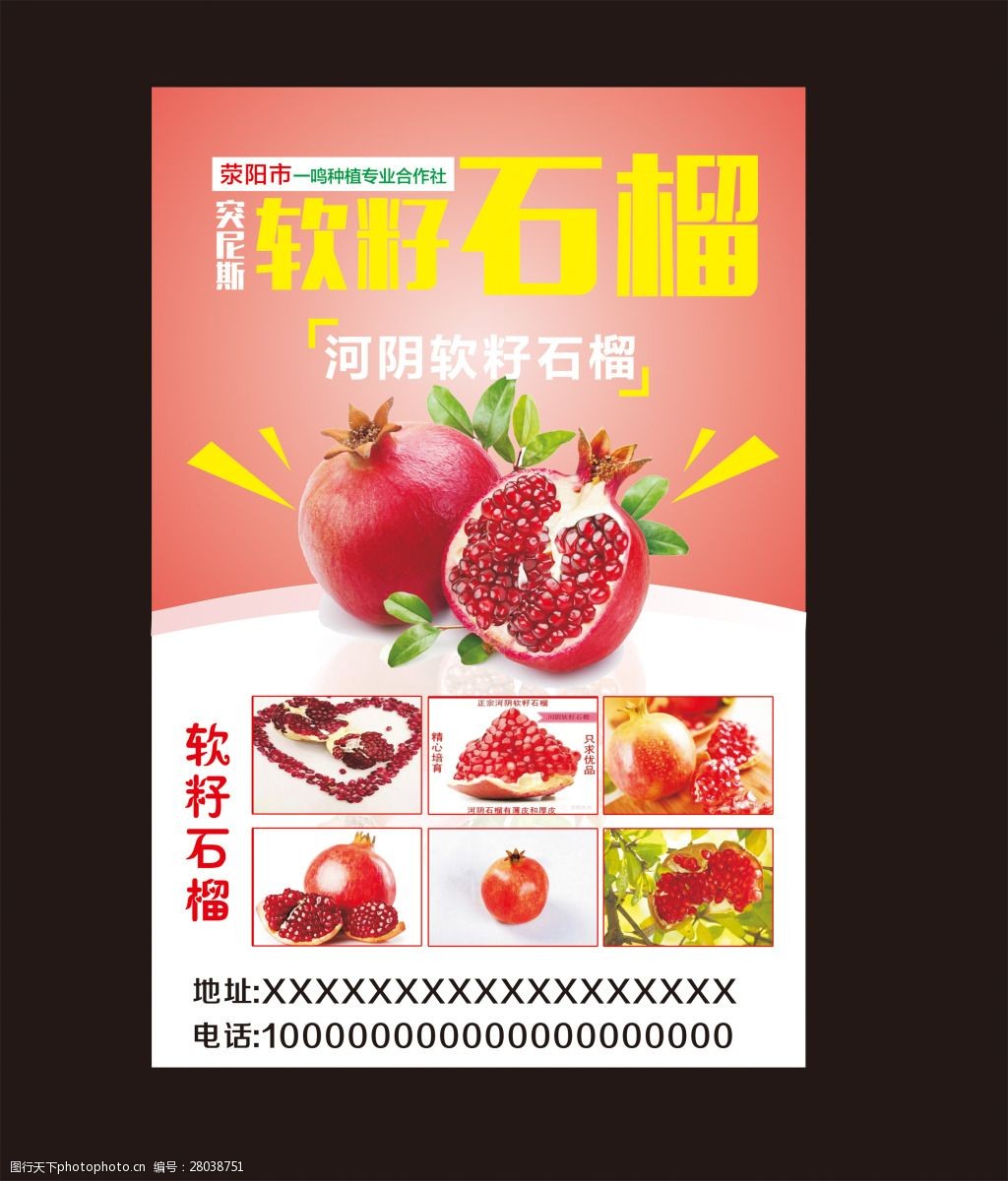 软子石榴海报 cdr 红白底色 石榴海报 创意海报 突尼斯软籽石榴 石榴