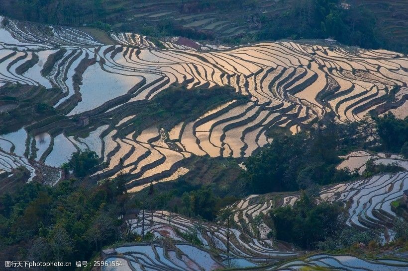 云南元阳梯田风景