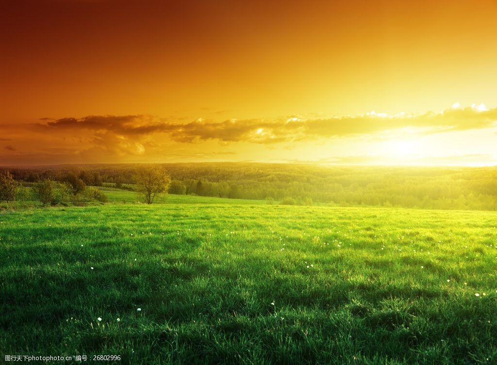 设计图库 高清素材 自然风景  关键词:唯美的草原黄昏风景高清图片