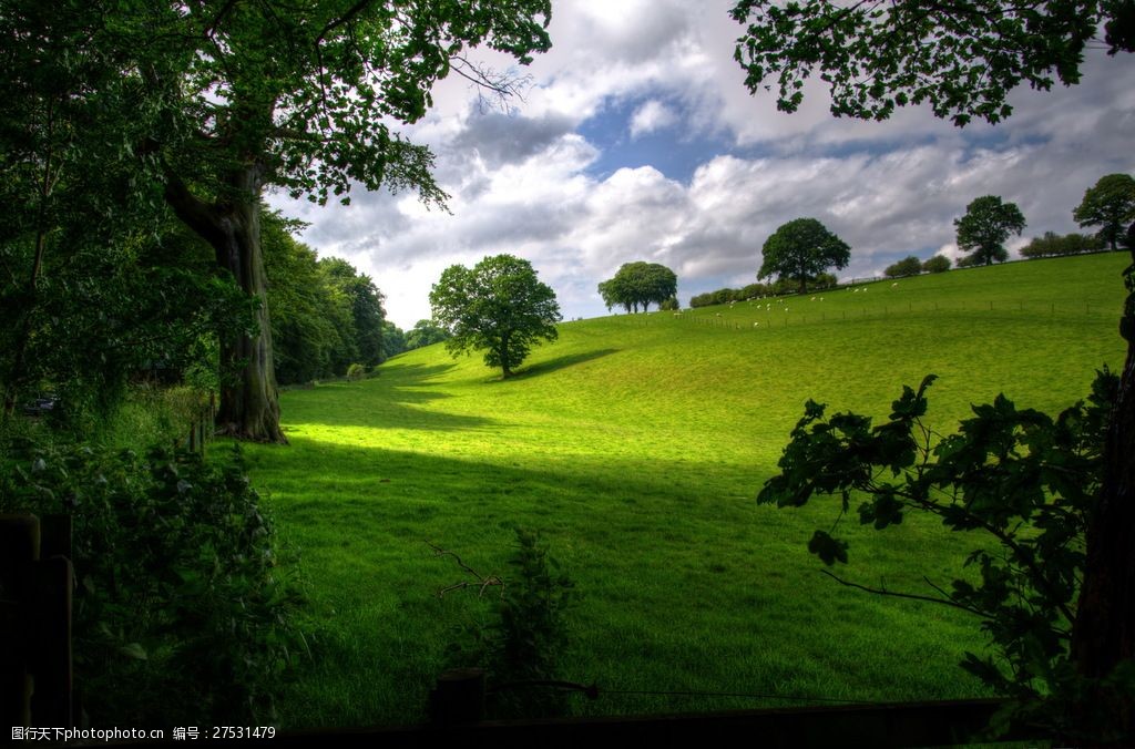 设计图库 高清素材 自然风景  关键词:绿色牧场草地风景高清图片下载