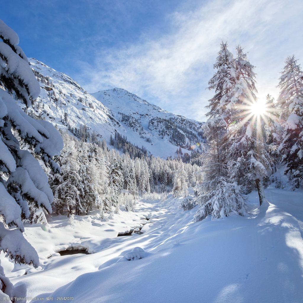 唯美冬季雪景图片