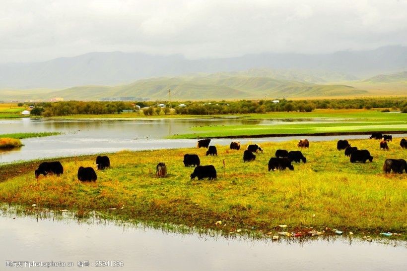 甘肃甘南桑科草原风景