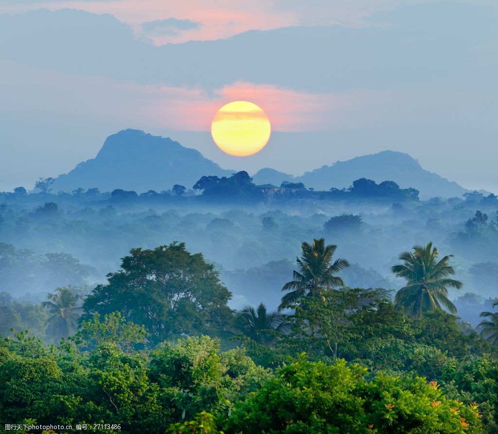 关键词:唯美日出风景图片素材下载 清晨 朦胧 日出植物 丛林 树林
