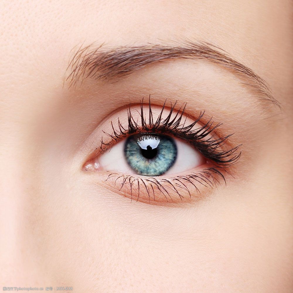 美女眼睛睫毛图片素材 睫毛 眼睛 眼睛特写 瞳孔 眼珠 眼球 女性眼睛