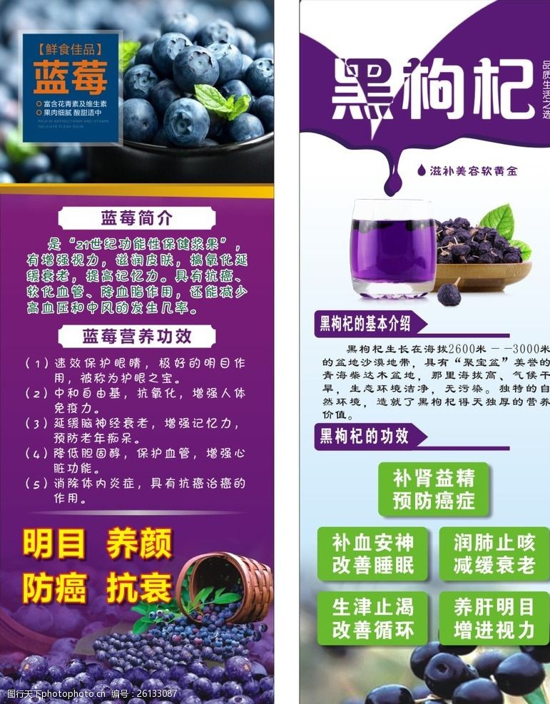 蓝莓黑枸杞x展架