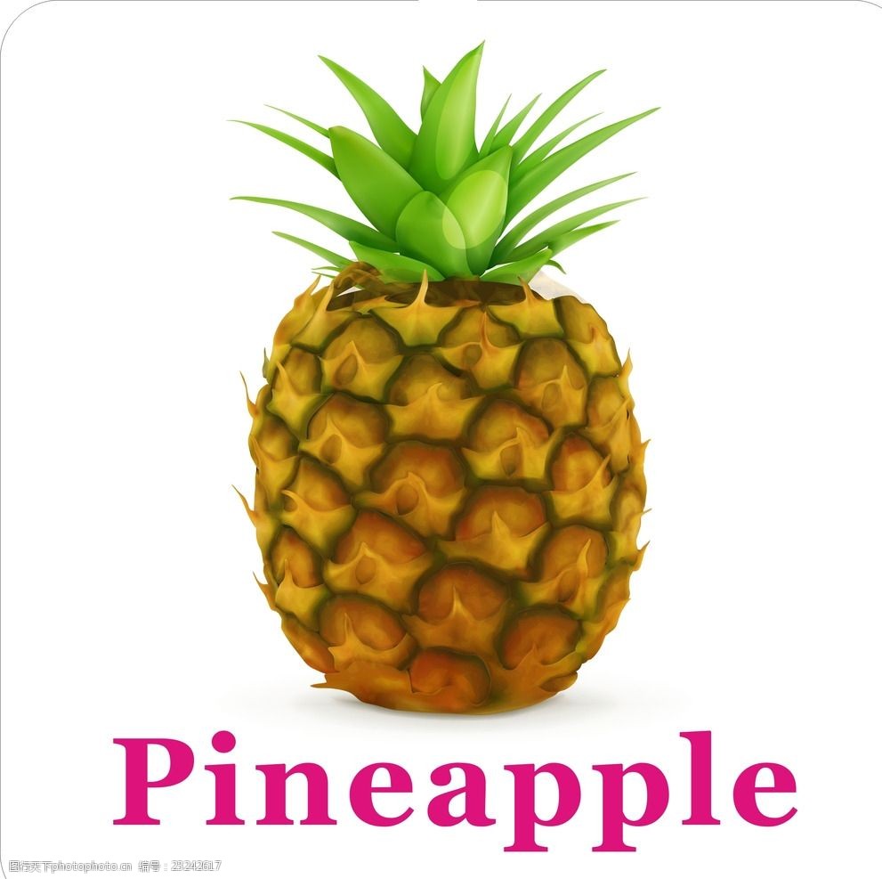 卡通水果菠萝加英文名称