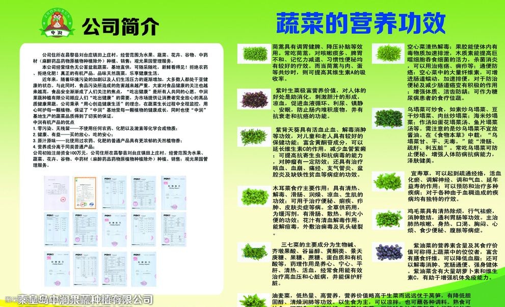 蔬菜批发公司简介怎么写