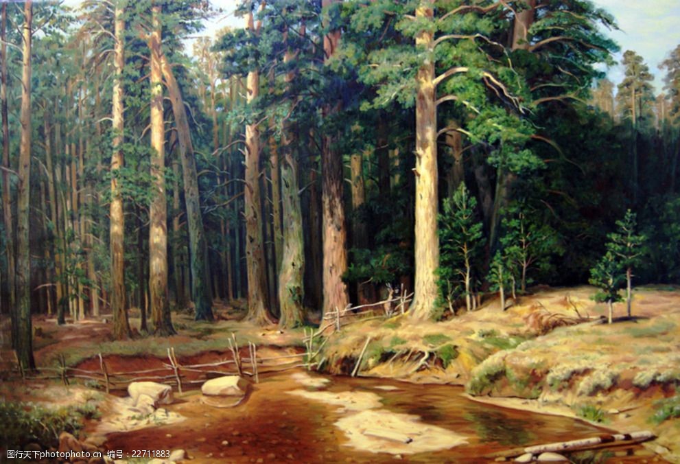 关键词:希施金松树林精细临摹 希施金 松树林 油画 风景 树林 设计