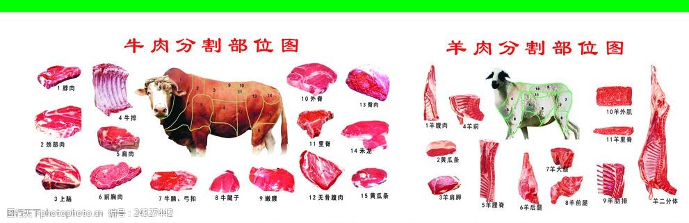 牛羊肉分解图