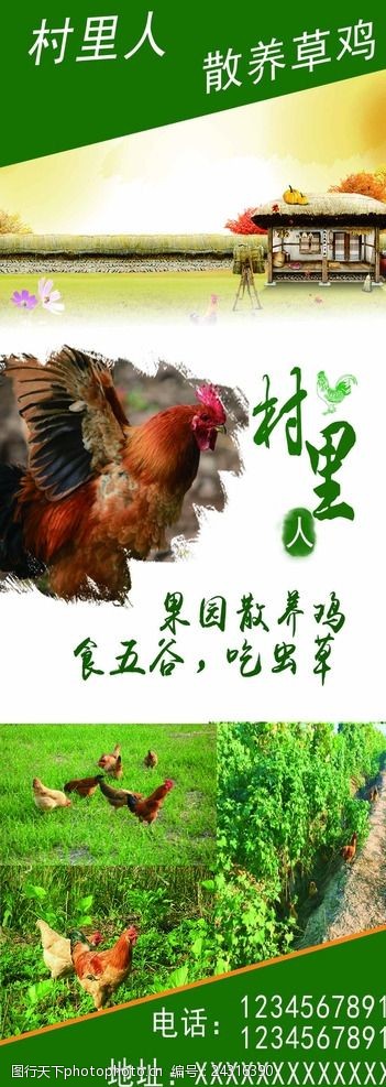 散养草鸡草鸡海报草鸡蛋广告