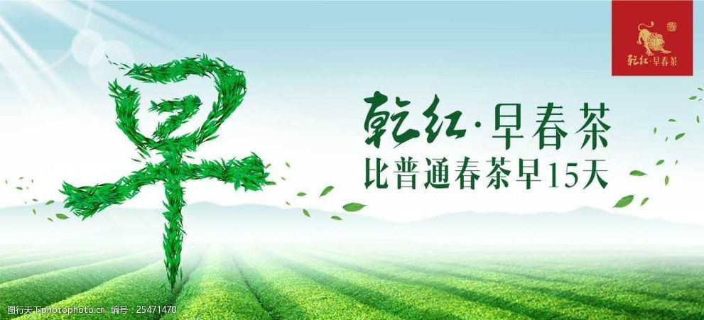 早春茶品牌形象画面早字版