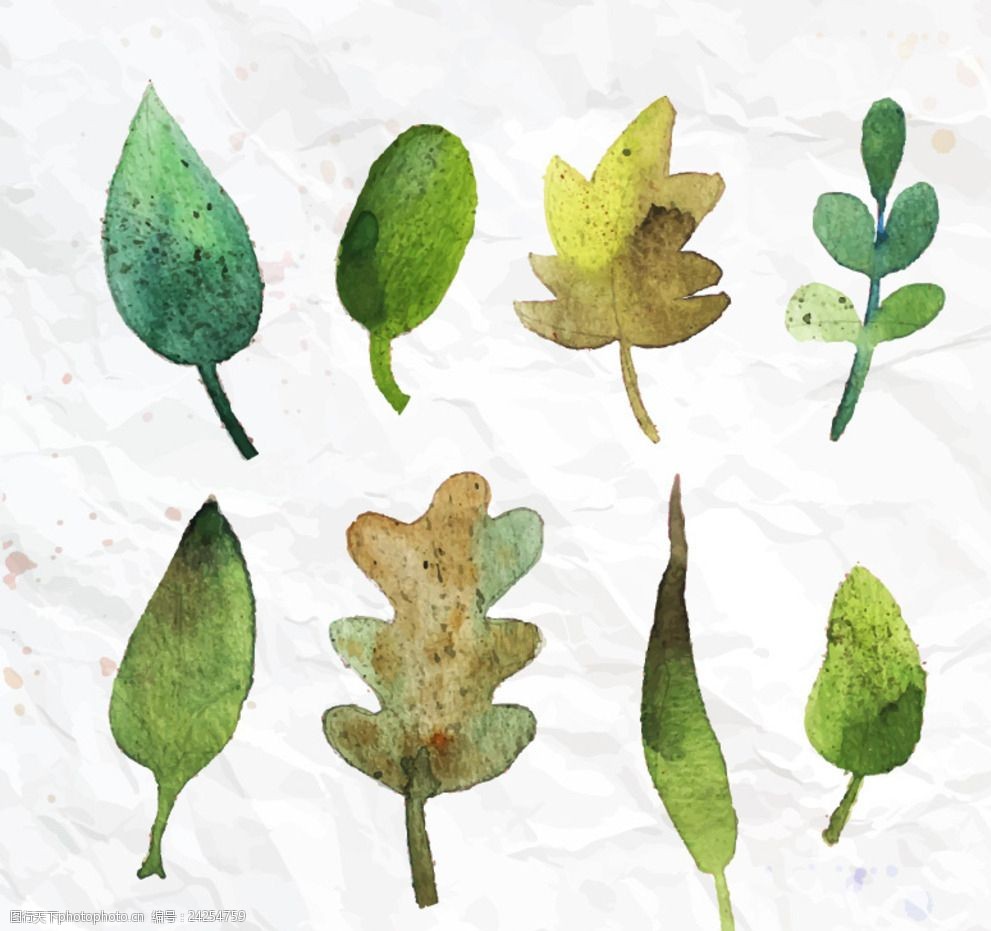 水彩树叶矢量素材