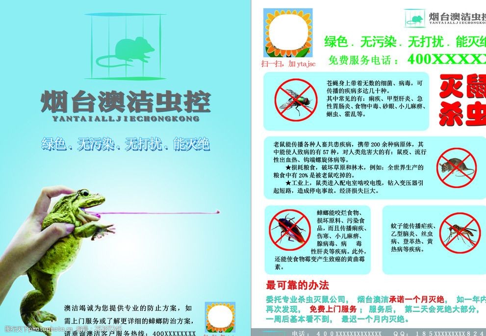 杀虫公司简洁宣传单模板