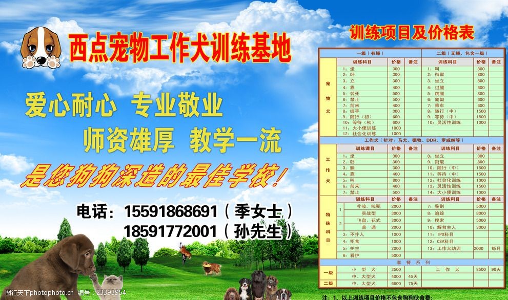 工作犬训练价格表