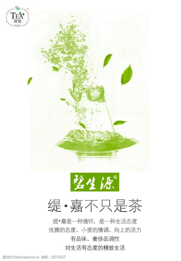 高端养生减肥茶海报