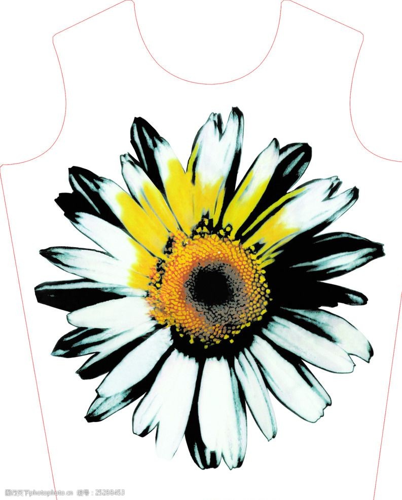 数码 印花 热转印 布匹回味 花回 图层 服装图案 设计 psd分层素材 90