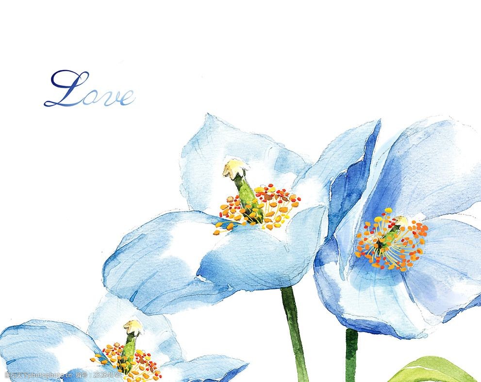 蓝色百合水墨花朵插画