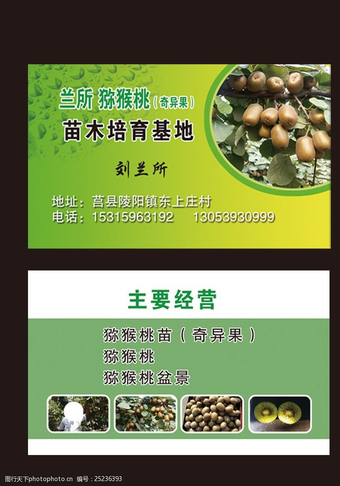 猕猴桃名片瓜果名片