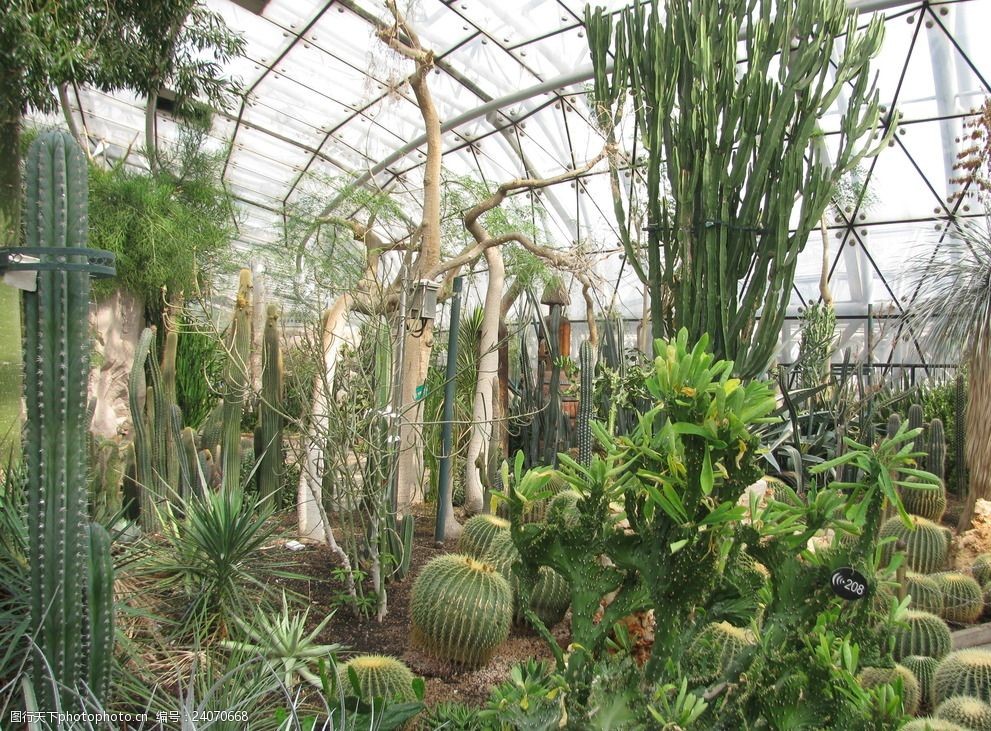 植物园温室图片 图行天下素材网