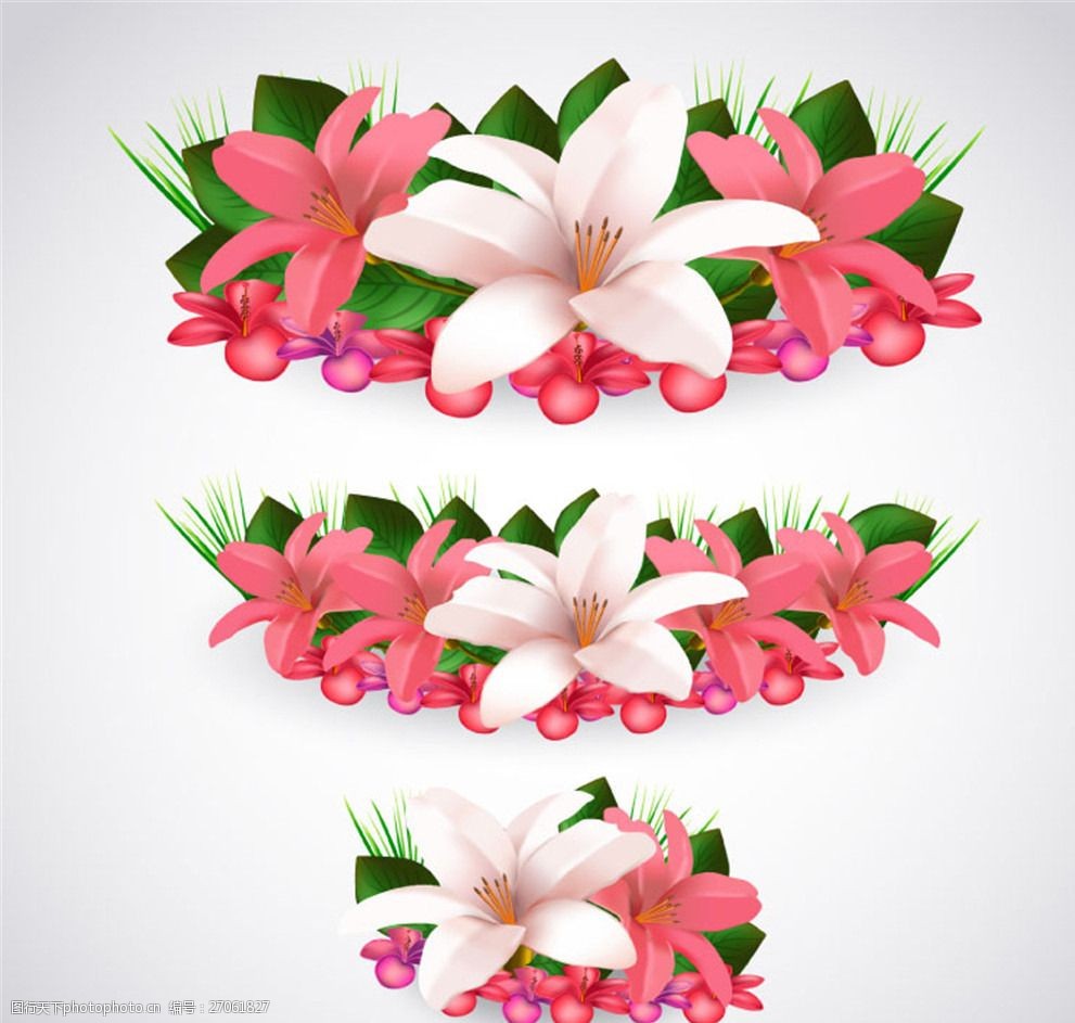 美丽百合花设计矢量素材