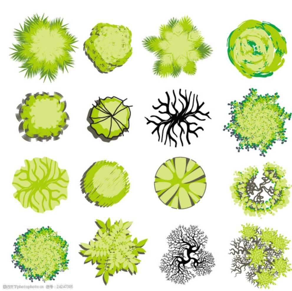 树木平面装饰
