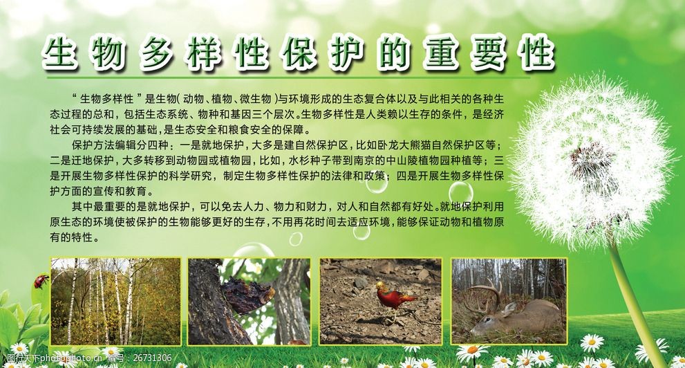 科技创新引领有机农业新时代