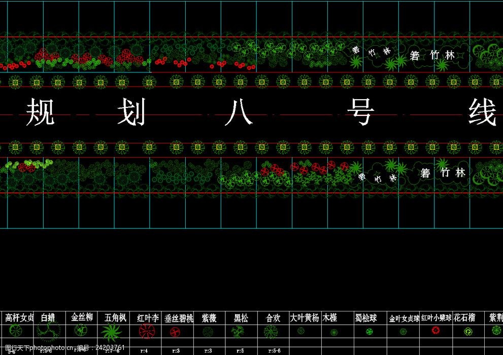 绿化带标准段景观绿化铺装图