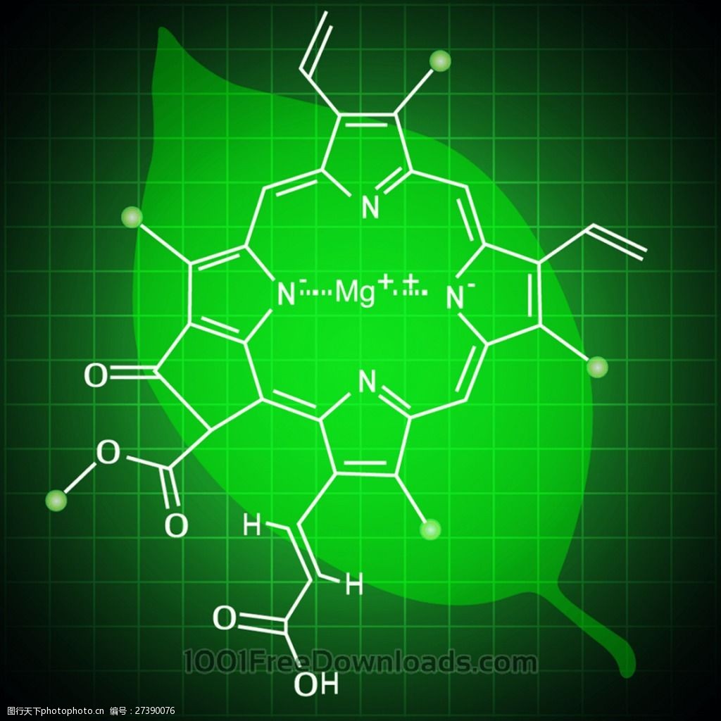 关键词:化学公司矢量图 绿色背景矢量图 化学公司 绿色叶子
