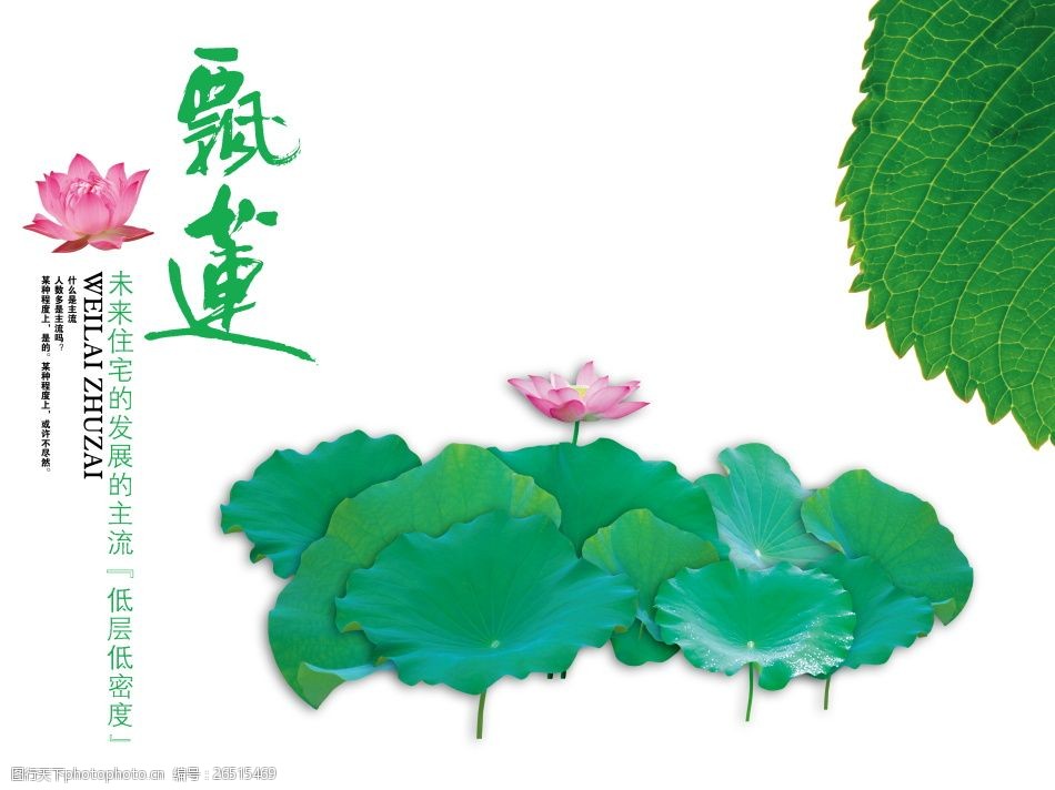 psd飘莲系列海报素材下载