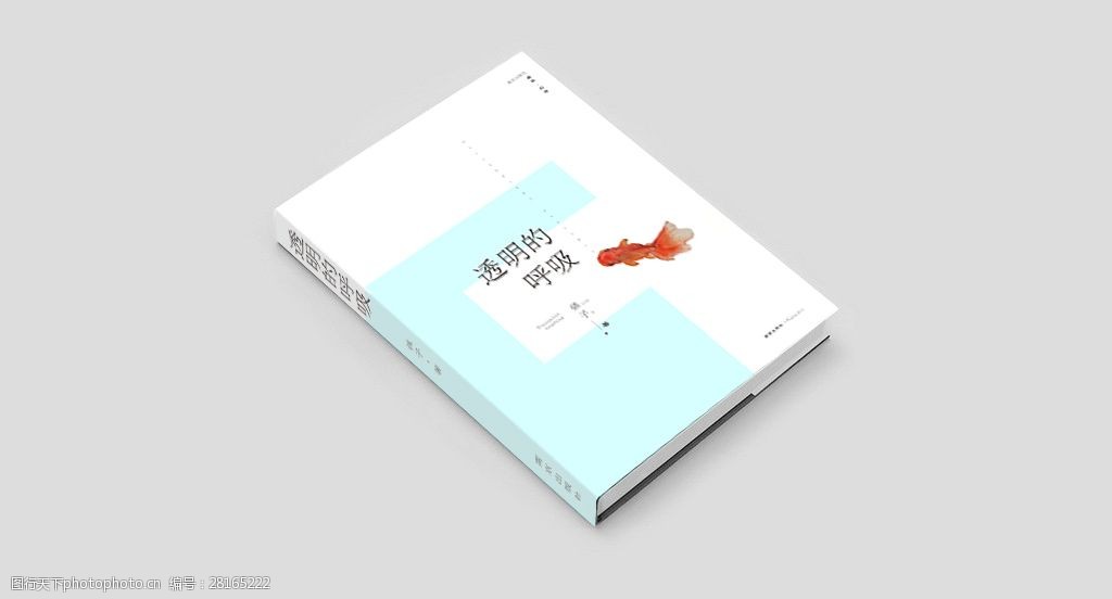 清新版文艺风小说封面设计